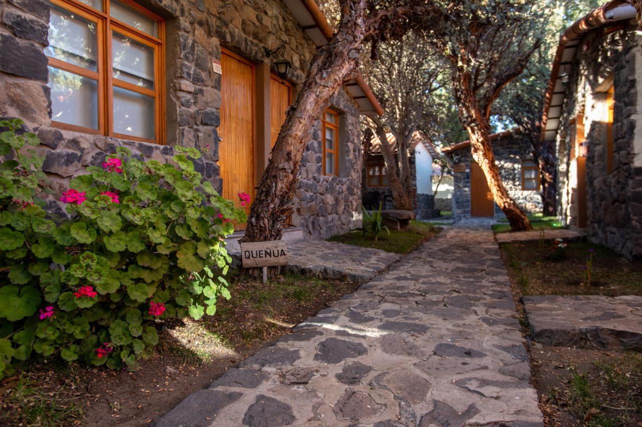 מלון צ'יוואי Casa Andina Standard Colca מראה חיצוני תמונה